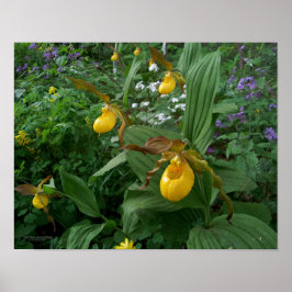 Poster Flores de Orquídea Amarelo em Sangue