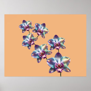 Poster Flores de Orquídea Holográfica Iridescente