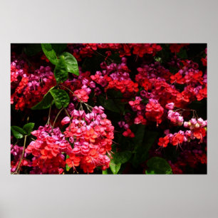 Poster Flores de Pagode Coloridas de Vermelho e Rosa