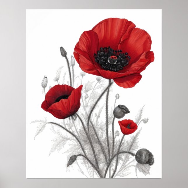 Poster Flores de Papoula Vermelha (Frente)