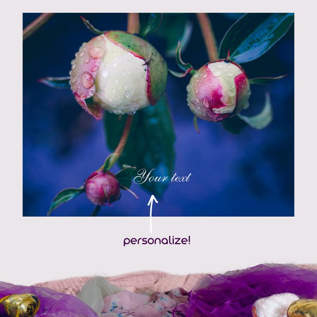 Poster Flores de pedônia após chuva (Criador carregado)