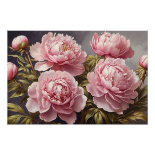 Pôster Flores de Peony Blooming