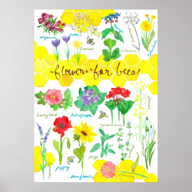 Poster Flores De Plantas Para As Abelhas De Honeycomb Wat (Frente)