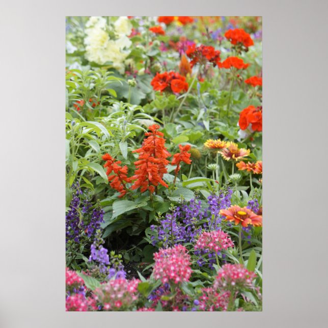 Poster Flores de primavera (Frente)