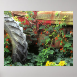 Poster Flores de primavera adoram um trator velho.