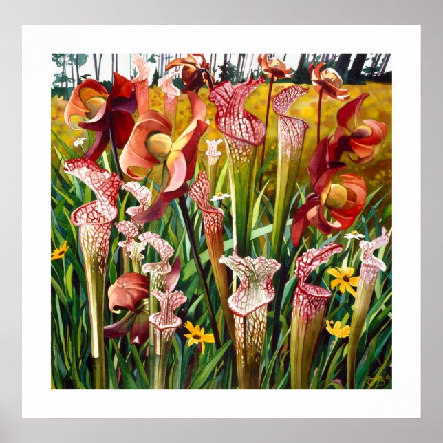 Pôster "Flores de primavera" Arte Floral de Aquarela (Frente)