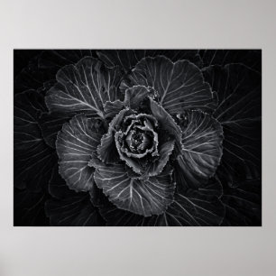 Poster Flores De Quintal A Preto E Branco No 108
