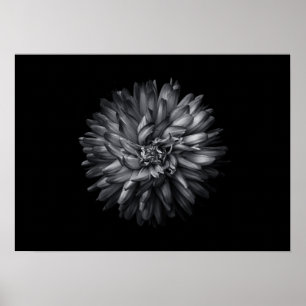 Poster Flores De Quintal Em Preto E Branco 20