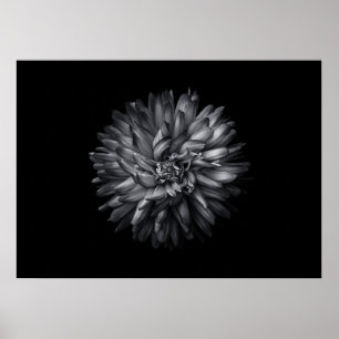 Poster Flores De Quintal Em Preto E Branco 20