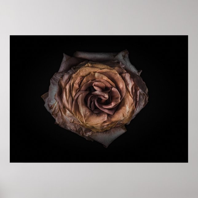 Poster Flores De Quintal N.O 139 Colorido (Frente)