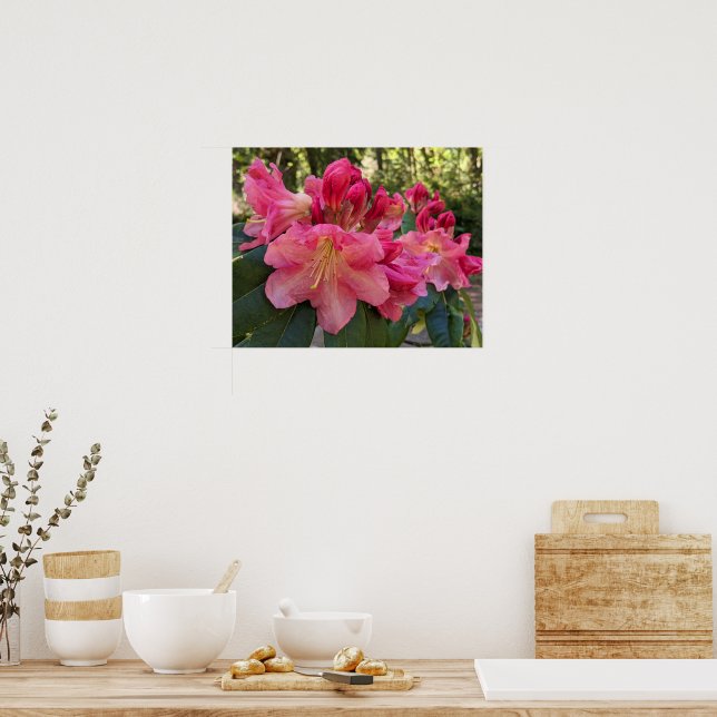 Poster Flores de Rhododendron Rosa (Cozinha)