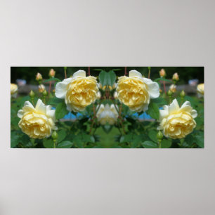 Poster Flores de Rosa Amarela Espelho Abstrato
