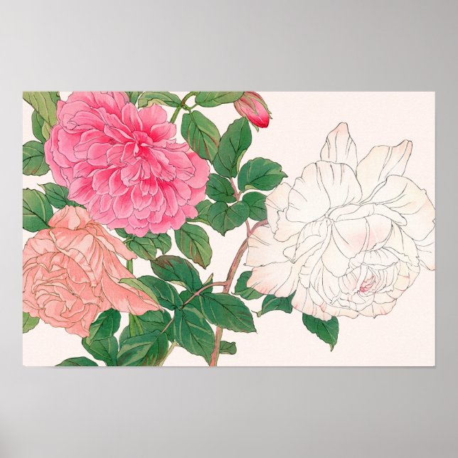 Poster Flores de Rosa Rosa e Branca com Folhas Verdes (Frente)