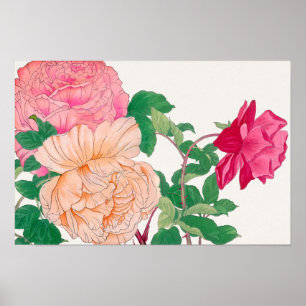 Poster Flores de Rosa Rosa e Laranja Pálido 