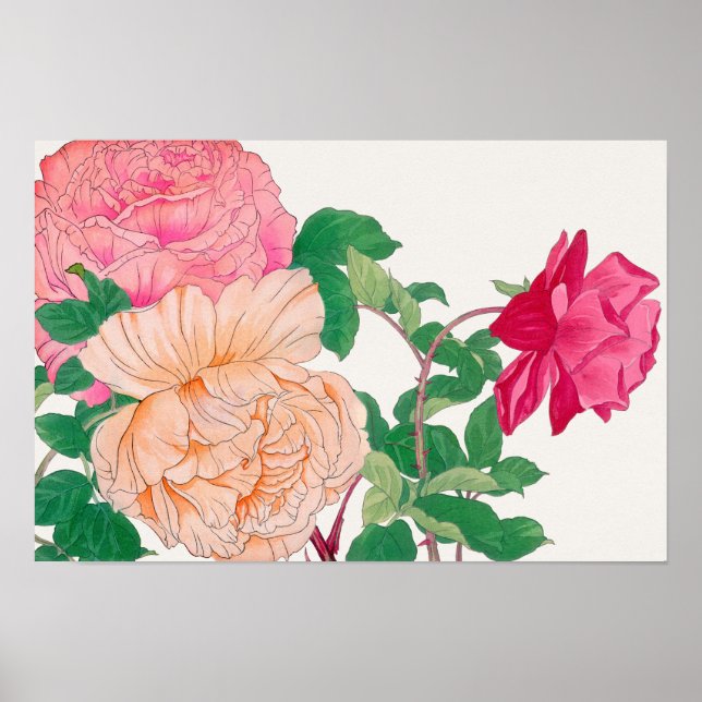 Poster Flores de Rosa Rosa e Laranja Pálido  (Frente)