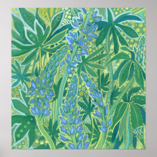 Poster Flores de Tremoço, Flores Selvagens de Verão (Frente)