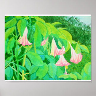 Poster Flores de trompete e árvores de ciprestes aquática