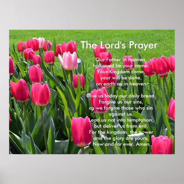 Poster Flores de tulipa cor-de-rosa primavera, A Oração d (Frente)