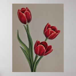 Poster Flores de Tulipas Vermelhas