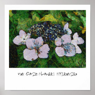 Pôster Flores de Van Gogh: Hydrangea