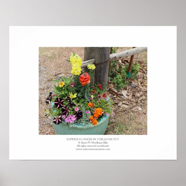 Poster Flores de Verão no Pote de Turquesa (Frente)