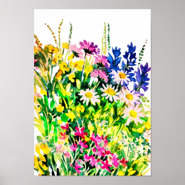Poster Flores de verão selvagens no campo (Frente)