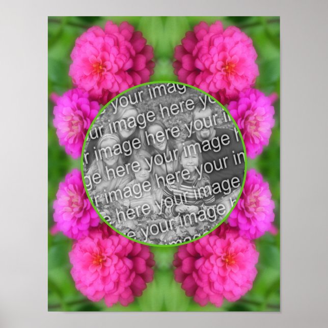 Poster Flores de Zinnia Rosa Criam sua própria foto (Frente)