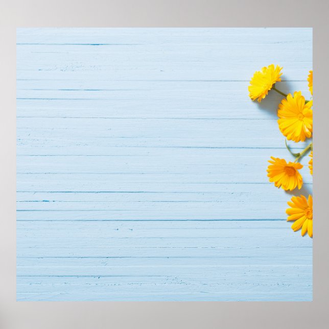Poster Flores do Calendário: Fundo de Madeira Azul (Frente)