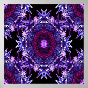 Poster Flores do Dragão........