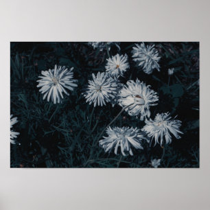 Poster Flores do Indígenas Branco Verde da África do Su