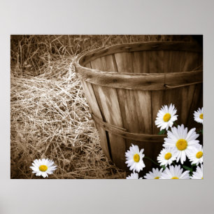 Pôster Flores do País