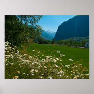 Poster Flores do primavera de Noruega
