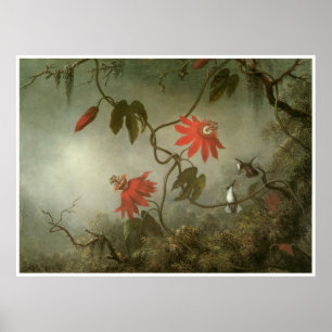 Pôster Flores e colibris da paixão