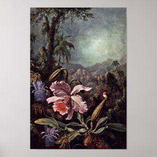 Poster Flores e colibris da paixão das orquídeas por