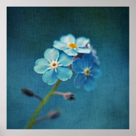 Poster Flores Elegantes Azuis Não-me-esqueças Macro