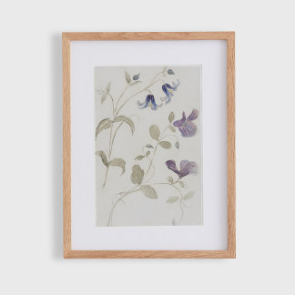 Poster Flores em aquarela vintage