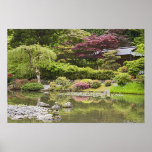 Pôster Flores em flor no Jardim Japonês,