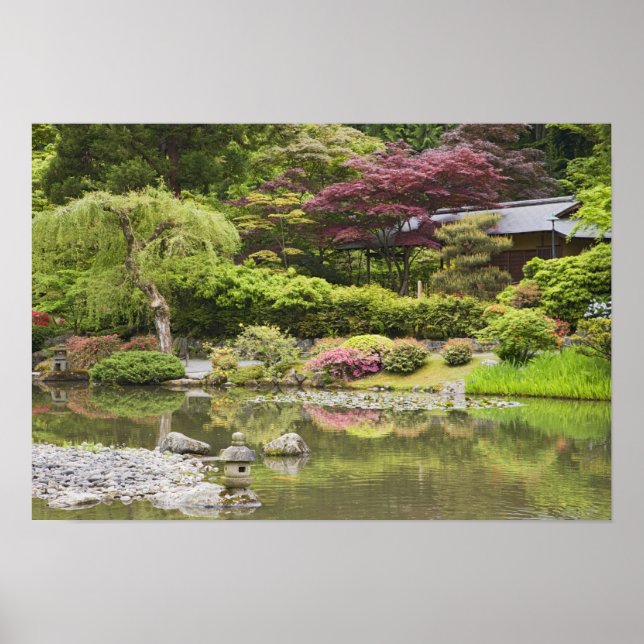 Pôster Flores em flor no Jardim Japonês, (Frente)