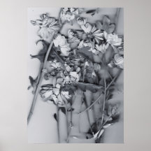 Flores em Preto e Branco