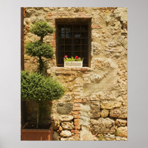 Poster Flores em uma caixa de janela em um peitoril da