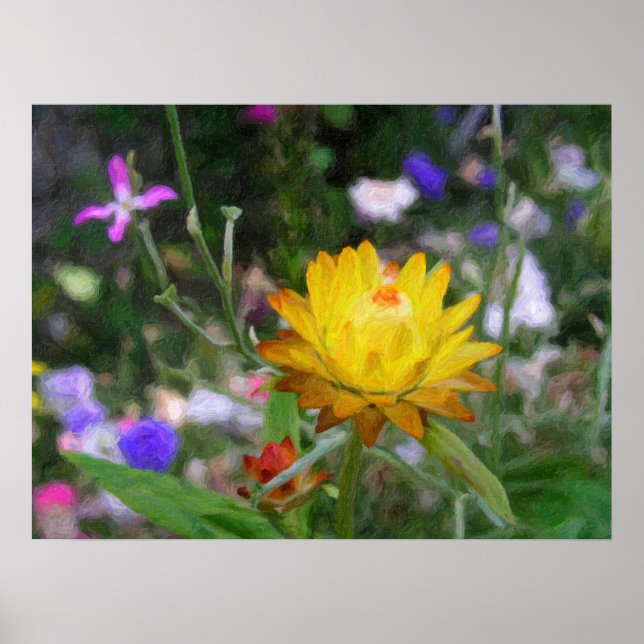 Poster Flores eternas. (Frente)