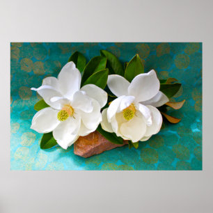 Poster Flores   Flor Magnolia