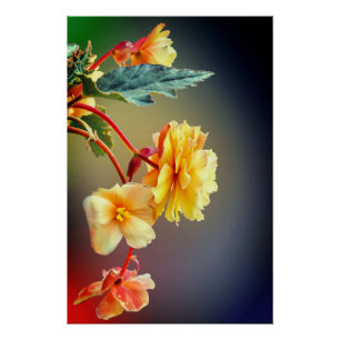 Pôster Flores, Flores amarelas, Petais