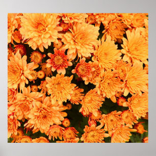 Poster Flores florescentes, fundo colorido.