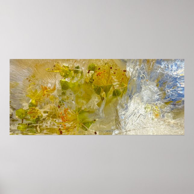 Poster Flores Forçadas (Frente)