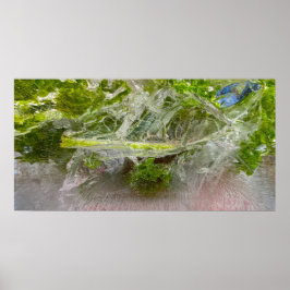 Poster Flores Geladas,