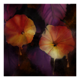 Pôster Flores Gloriosas da Manhã