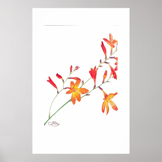 Poster Flores Laranja (Frente)