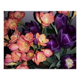 Pôster Flores laranja e púrpura