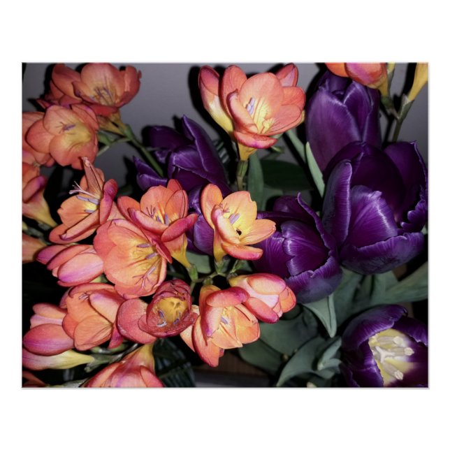 Pôster Flores laranja e púrpura (Frente)